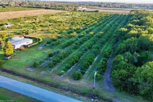 2205 Hicks Rd, Lorida, FL 33857 - Photo 7