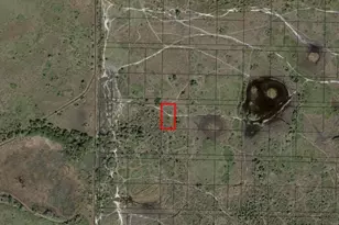 0 NW 316th St, Okeechobee, FL 34972 - Photo 3