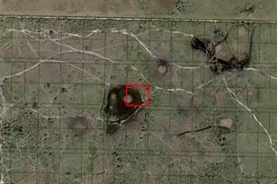 0 NW 316th St, Okeechobee, FL 34972 - Photo 3