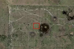 0 NW 316th St, Okeechobee, FL 34972 - Photo 3