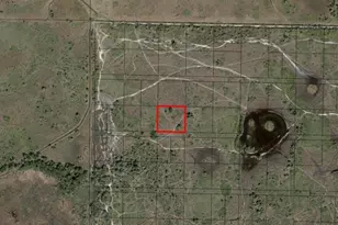 0 NW 316th St, Okeechobee, FL 34972 - Photo 3