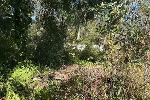 0 Maple Hill Ct, Lakeland, FL 33811 - Photo 3