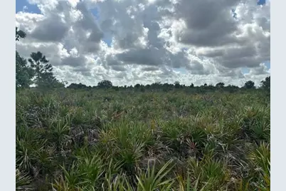 0 NW 314th St, Okeechobee, FL 34972 - Photo 3