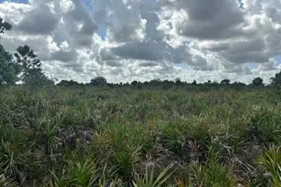 0 NW 314th St, Okeechobee, FL 34972 - Photo 3