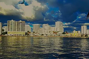 2617 Aqua Vista Blvd, Fort Lauderdale, FL 33301 - Photo 5