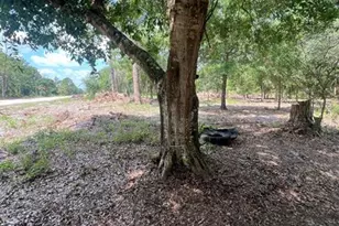 681 N Perimeter Rd, Clewiston, FL 33440 - Photo 3