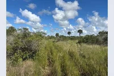 0 NW 310th St, Okeechobee, FL 34972 - Photo 1