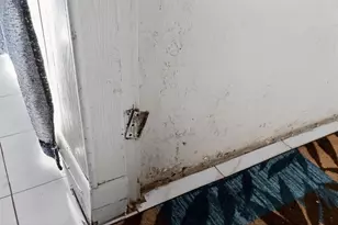 14220 NE 3rd Ct, Miami, FL 33161 - Photo 43