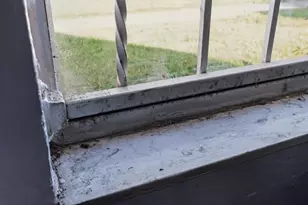 14220 NE 3rd Ct, Miami, FL 33161 - Photo 41