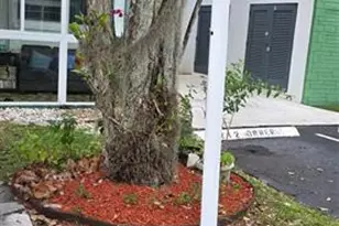 2271 NW 48th Terrace, Lauderhill, FL 33313 - Photo 5