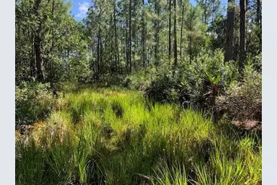0  Old Grade Rd, Other City - In The State Of Florida, FL 33868 - Photo 3
