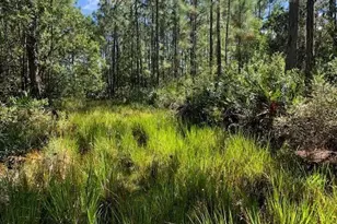 0 Old Grade Rd, Other City - In The State Of Florida, FL 33868 - Photo 3