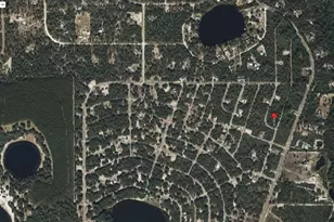 Tbd Fisher Way Track Fisher Way, Ocklawaha, FL 32179 - Photo 3