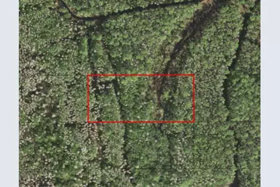 0  Holopaw Groves Rd, Saint Cloud, FL 34772 - Photo 1