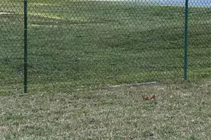 2075 Coral Ridge Dr, Coral Springs, FL 33071 - Photo 7