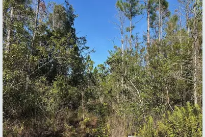 0  Holopaw Groves Rd, Saint Cloud, FL 34772 - Photo 1