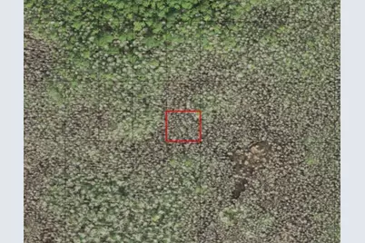 0  Holopaw Groves Rd, Saint Cloud, FL 34772 - Photo 1