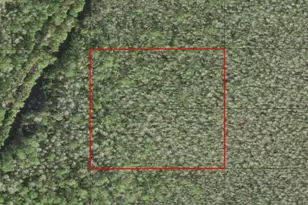 0 Holopaw Groves Rd, Saint Cloud, FL 34772 - Photo 1