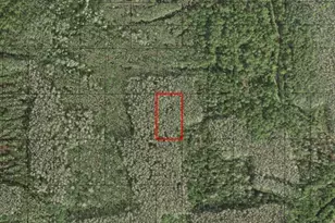 0 Holopaw Groves Rd, Saint Cloud, FL 34772 - Photo 1