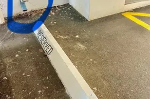 1000 NE 14th Ave, Hallandale Beach, FL 33009 - Photo 55