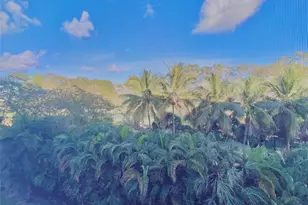 1000 NE 14th Ave, Hallandale Beach, FL 33009 - Photo 9