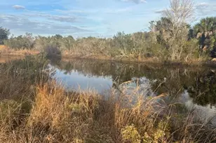 20745 NW 302nd St, Okeechobee, FL 34972 - Photo 7