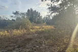 20745 NW 302nd St, Okeechobee, FL 34972 - Photo 3