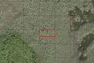 0 Holopaw Groves Rd, Saint Cloud, FL 34772 - Photo 1