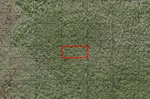 0 Holopaw Groves Rd, Saint Cloud, FL 34772 - Photo 1