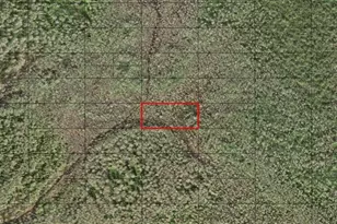 0 Holopaw Groves Rd, Saint Cloud, FL 34772 - Photo 1