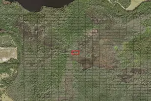 0 Holopaw Groves Rd, Saint Cloud, FL 34772 - Photo 1