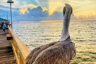 133 N Pompano Beach Blvd, Pompano Beach, FL 33062 - Photo 27