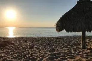 201 Mallard Dr, Boynton Beach, FL 33435 - Photo 7