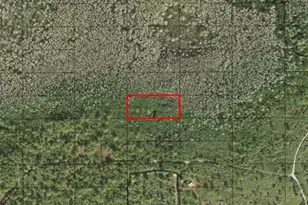 0 Holopaw Groves Rd, Saint Cloud, FL 34772 - Photo 1