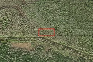 0 Holopaw Groves Rd, Saint Cloud, FL 34772 - Photo 1