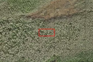 0 Holopaw Groves Rd, Saint Cloud, FL 34772 - Photo 1