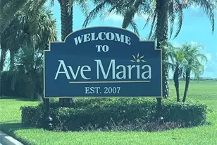 [Address not provided], Ave Maria, FL 34142 - Photo 29
