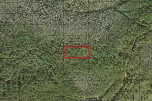 0 Holopaw Groves Rd, Saint Cloud, FL 34772 - Photo 1