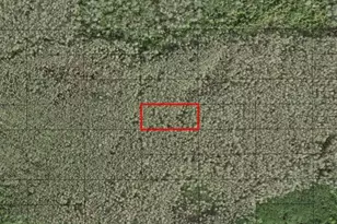 0 Holopaw Groves Rd, Saint Cloud, FL 34772 - Photo 1