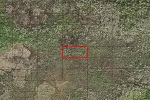 0 Holopaw Groves Rd, Saint Cloud, FL 34772 - Photo 1