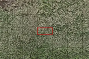 0 Holopaw Groves Rd, Saint Cloud, FL 34772 - Photo 1