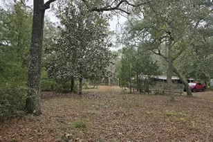 12890 NW 90 Ave, Chiefland, FL 32626 - Photo 3