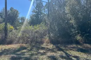 28141 SE Monte Cristo, Punta Gorda, FL 33955 - Photo 3