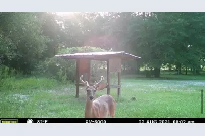 800 SW Applewood Glen, Fort White, FL 32038 - Photo 5