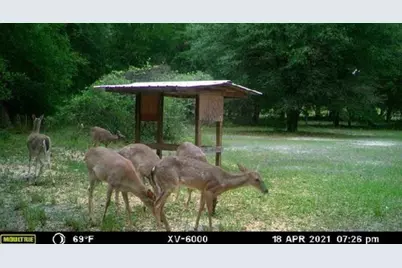 800 SW Applewood Glen, Fort White, FL 32038 - Photo 9