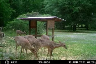 800 SW Applewood Glen, Fort White, FL 32038 - Photo 9