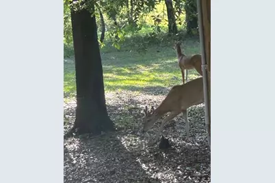 800 SW Applewood Glen, Fort White, FL 32038 - Photo 3