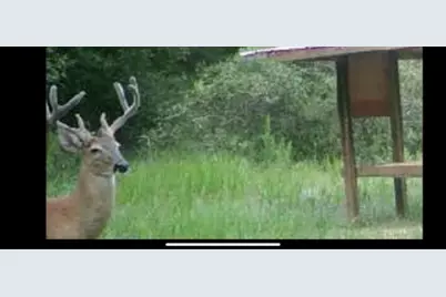 800 SW Applewood Glen, Fort White, FL 32038 - Photo 7