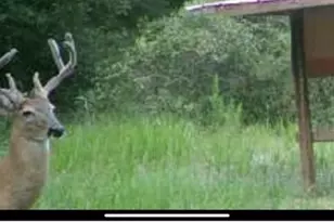 800 SW Applewood Glen, Fort White, FL 32038 - Photo 7