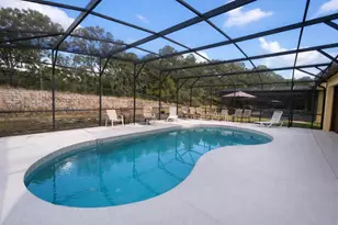 446 Orange Cosmos Blvd, Davenport, FL 33837 - Photo 3